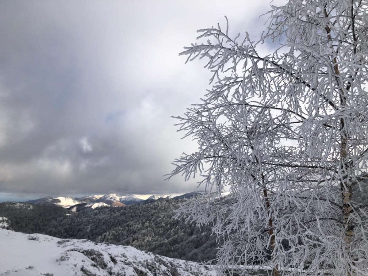 Chateau Porthos Tranquillite Des Pyrenees Lanne-en-Baretous Εξωτερικό φωτογραφία